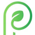 parchmentpaper Profile Picture