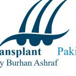 Hybrid Hair Transplant in Pakistan Profile Picture