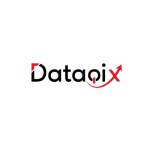 Data Qix Profile Picture