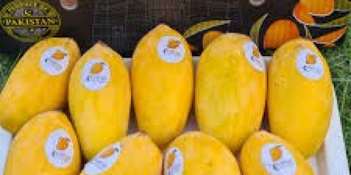 Wholesale Dry Mango in Pakistan: Guide for Bulk Buyers