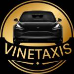 vine taxis Profile Picture